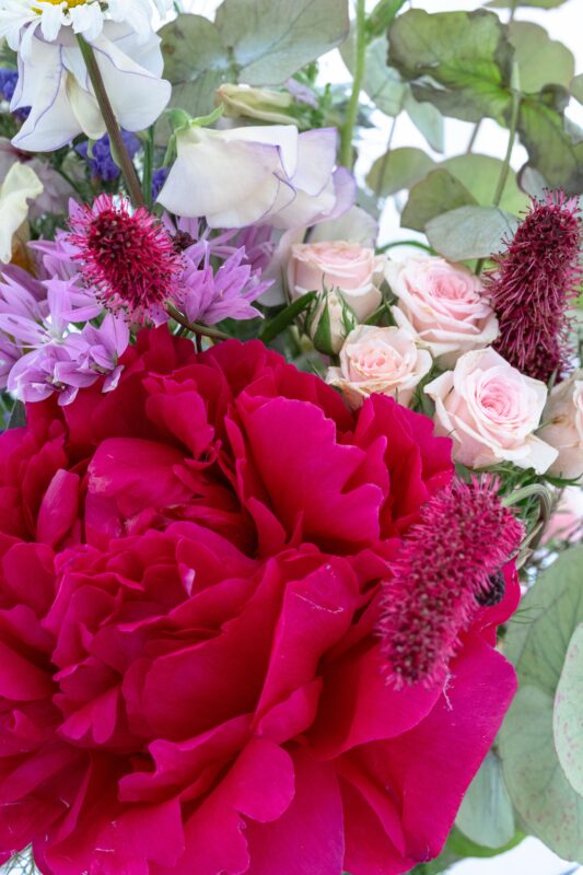 Stunning Peonies