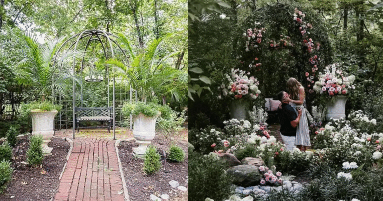 Taylor Swift and Travis Kelce Engagement Arch