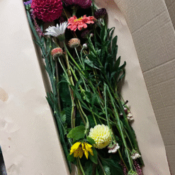 Flower Club Subscription: Letter Box Flowers