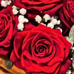 Blooming Roza Romantic Red Rose Bouquet